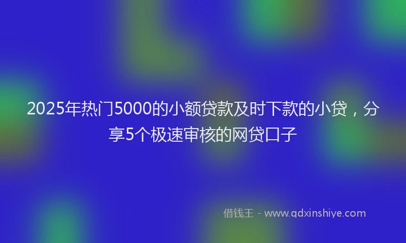 2025年热门5000的小额贷款及时下款的小贷，分享5个极速审核的网贷口子