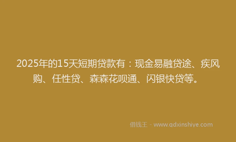 2025年的15天短期贷款有：现金易融贷途、疾风购、任性贷、森森花呗通、闪银快贷等。