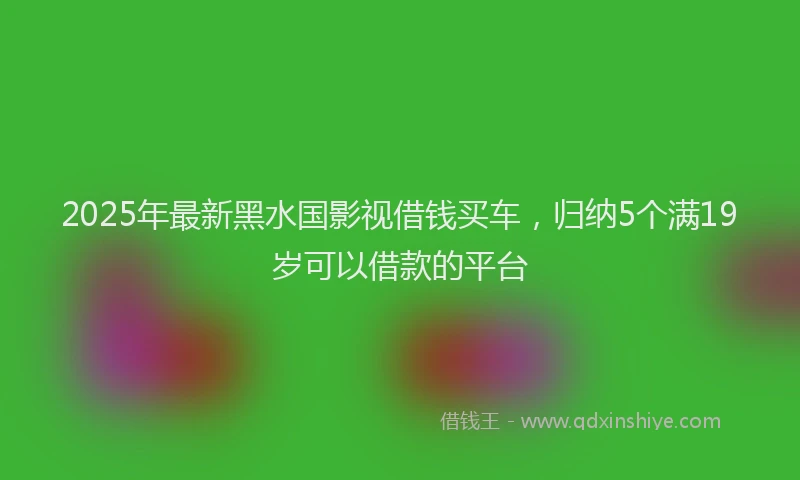 2025年最新黑水国影视借钱买车，归纳5个满19岁可以借款的平台