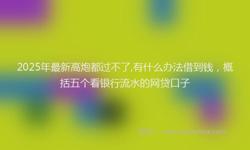 2025年最新高炮都过不了,有什么办法借到钱，概括五个看银行流水的网贷口子