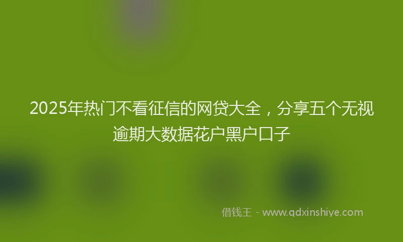 2025年热门不看征信的网贷大全，分享五个无视逾期大数据花户黑户口子