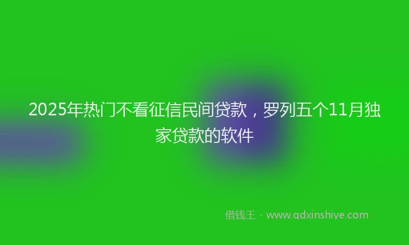 2025年热门不看征信民间贷款，罗列五个11月独家贷款的软件