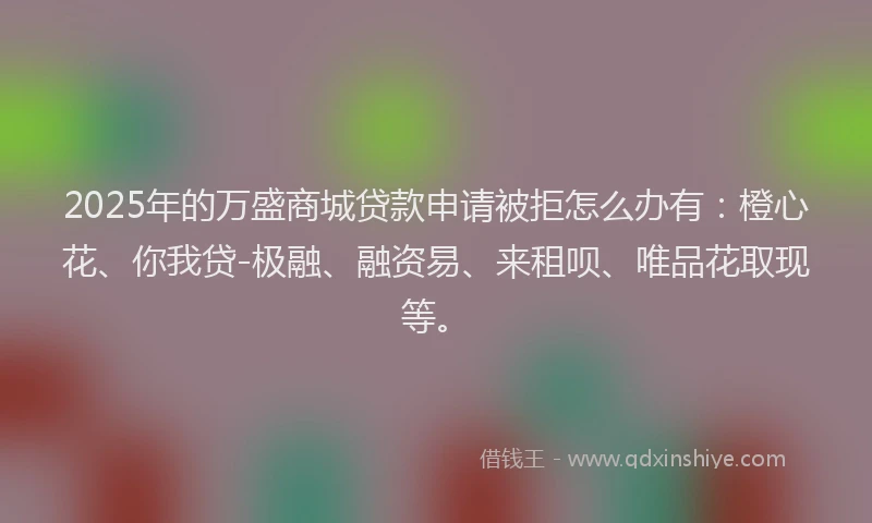 2025年的万盛商城贷款申请被拒怎么办有：橙心花、你我贷-极融、融资易、来租呗、唯品花取现等。