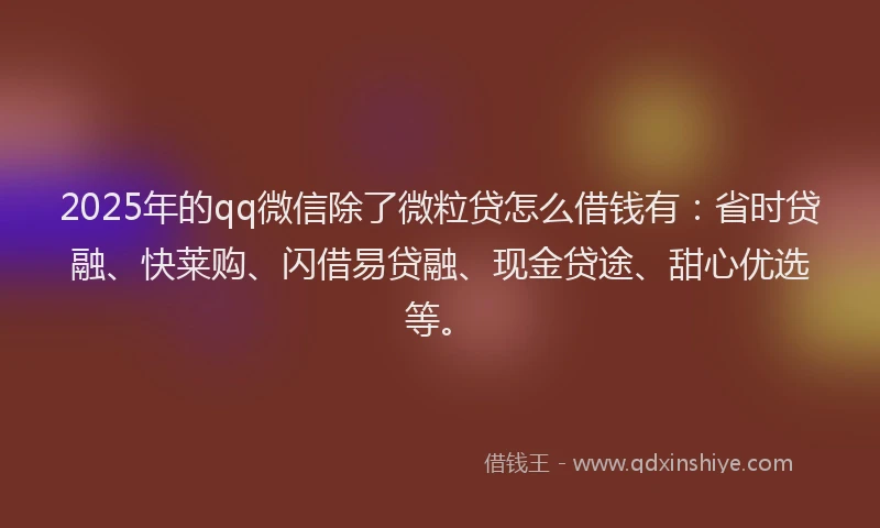 2025年的qq微信除了微粒贷怎么借钱有：省时贷融、快莱购、闪借易贷融、现金贷途、甜心优选等。