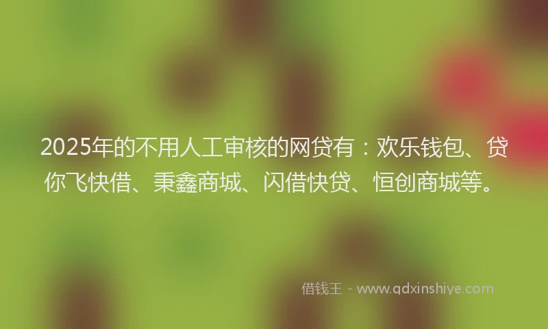 2025年的不用人工审核的网贷有：欢乐钱包、贷你飞快借、秉鑫商城、闪借快贷、恒创商城等。