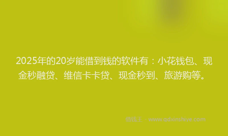 2025年的20岁能借到钱的软件有：小花钱包、现金秒融贷、维信卡卡贷、现金秒到、旅游购等。