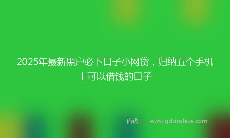 2025年最新黑户必下口子小网贷，归纳五个手机上可以借钱的口子