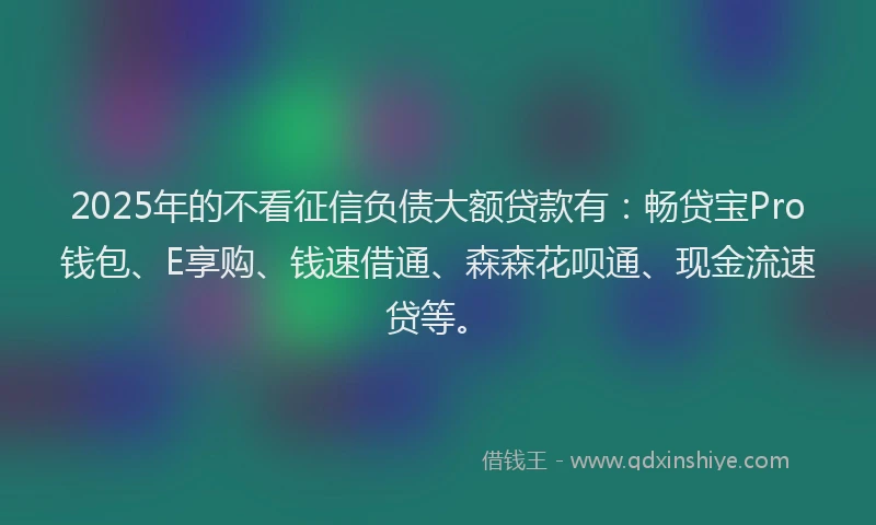 2025年的不看征信负债大额贷款有：畅贷宝Pro钱包、E享购、钱速借通、森森花呗通、现金流速贷等。