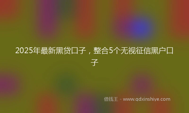 2025年最新黑贷口子，整合5个无视征信黑户口子