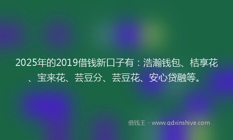 2025年的2019借钱新口子有：浩瀚钱包、桔享花、宝来花、芸豆分、芸豆花、安心贷融等。