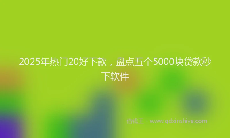2025年热门20好下款，盘点五个5000块贷款秒下软件