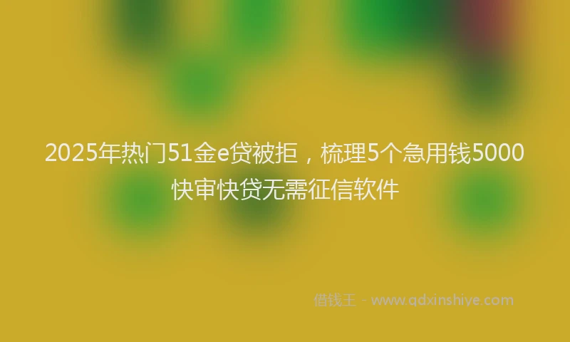 2025年热门51金e贷被拒，梳理5个急用钱5000快审快贷无需征信软件