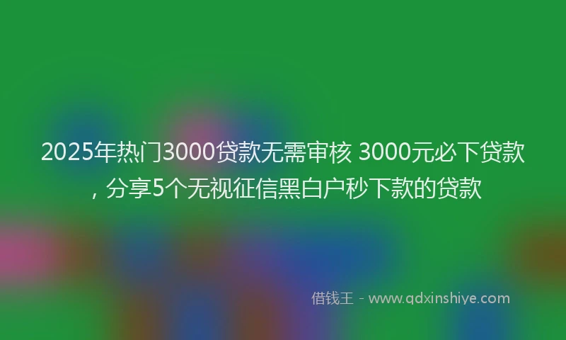 2025年热门3000贷款无需审核 3000元必下贷款，分享5个无视征信黑白户秒下款的贷款
