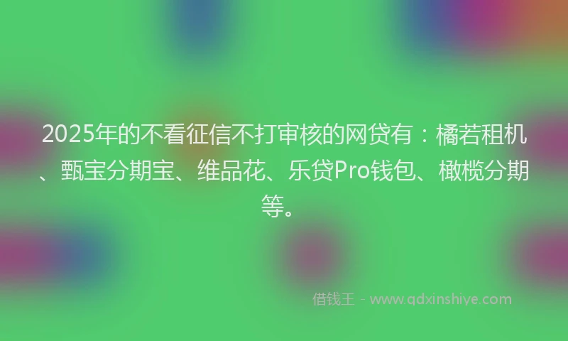 2025年的不看征信不打审核的网贷有：橘若租机、甄宝分期宝、维品花、乐贷Pro钱包、橄榄分期等。
