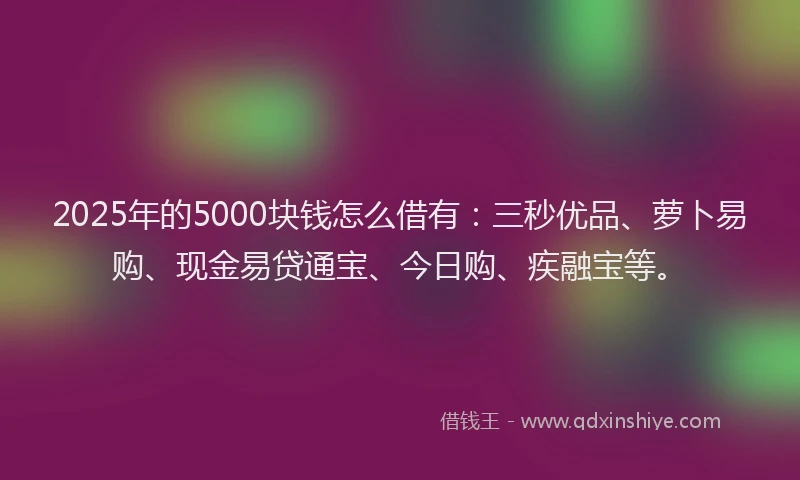 2025年的5000块钱怎么借有：三秒优品、萝卜易购、现金易贷通宝、今日购、疾融宝等。
