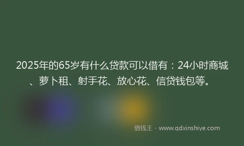 2025年的65岁有什么贷款可以借有：24小时商城、萝卜租、射手花、放心花、信贷钱包等。