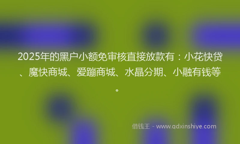 2025年的黑户小额免审核直接放款有：小花快贷、魔快商城、爱蹦商城、水晶分期、小融有钱等。