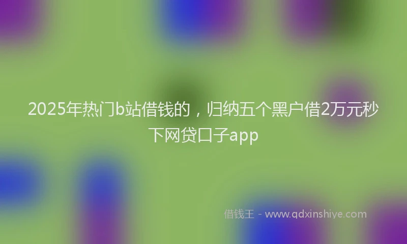 2025年热门b站借钱的，归纳五个黑户借2万元秒下网贷口子app