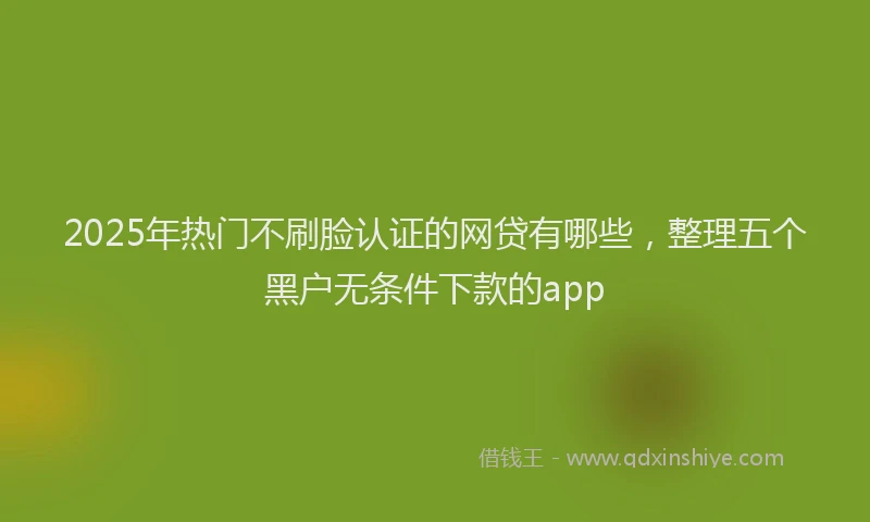 2025年热门不刷脸认证的网贷有哪些，整理五个黑户无条件下款的app