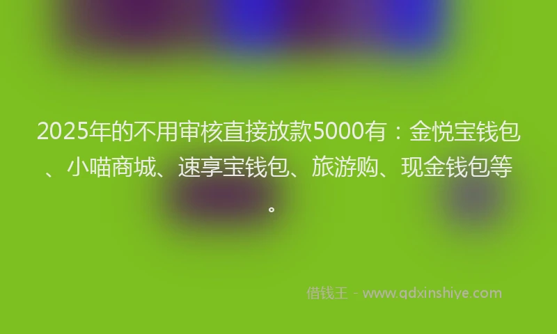 2025年的不用审核直接放款5000有：金悦宝钱包、小喵商城、速享宝钱包、旅游购、现金钱包等。