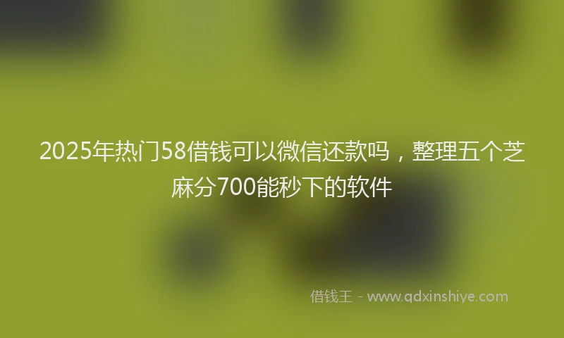 2025年热门58借钱可以微信还款吗，整理五个芝麻分700能秒下的软件