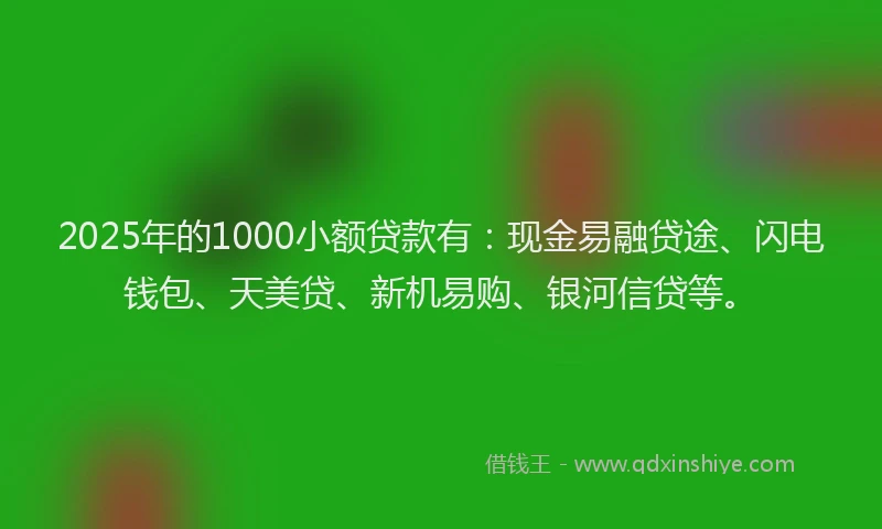 2025年的1000小额贷款有：现金易融贷途、闪电钱包、天美贷、新机易购、银河信贷等。