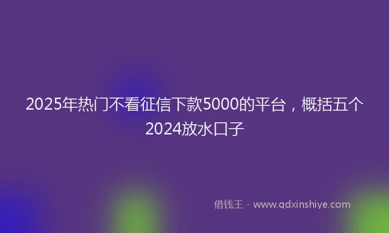 2025年热门不看征信下款5000的平台，概括五个2024放水口子