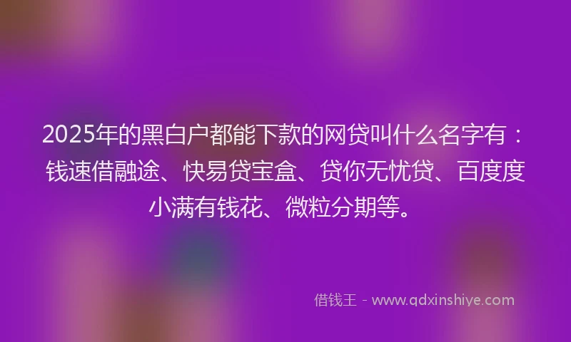 2025年的黑白户都能下款的网贷叫什么名字有：钱速借融途、快易贷宝盒、贷你无忧贷、百度度小满有钱花、微粒分期等。