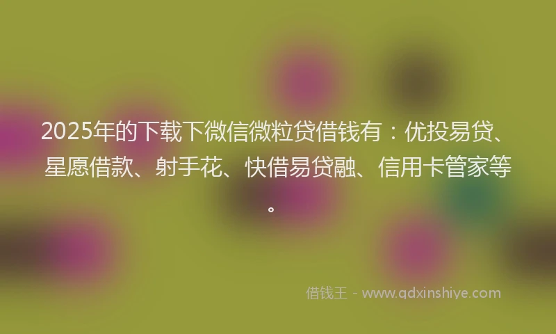 2025年的下载下微信微粒贷借钱有：优投易贷、星愿借款、射手花、快借易贷融、信用卡管家等。