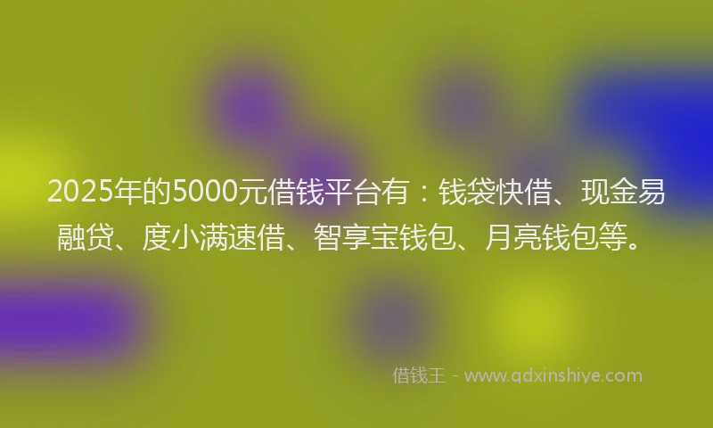 2025年的5000元借钱平台有：钱袋快借、现金易融贷、度小满速借、智享宝钱包、月亮钱包等。