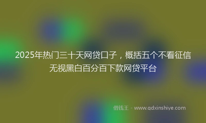 2025年热门三十天网贷口子，概括五个不看征信无视黑白百分百下款网贷平台
