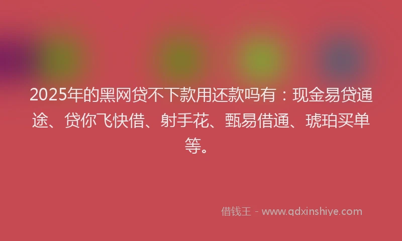 2025年的黑网贷不下款用还款吗有：现金易贷通途、贷你飞快借、射手花、甄易借通、琥珀买单等。