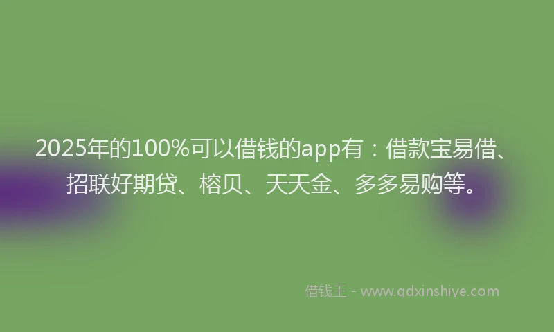 2025年的100%可以借钱的app有：借款宝易借、招联好期贷、榕贝、天天金、多多易购等。