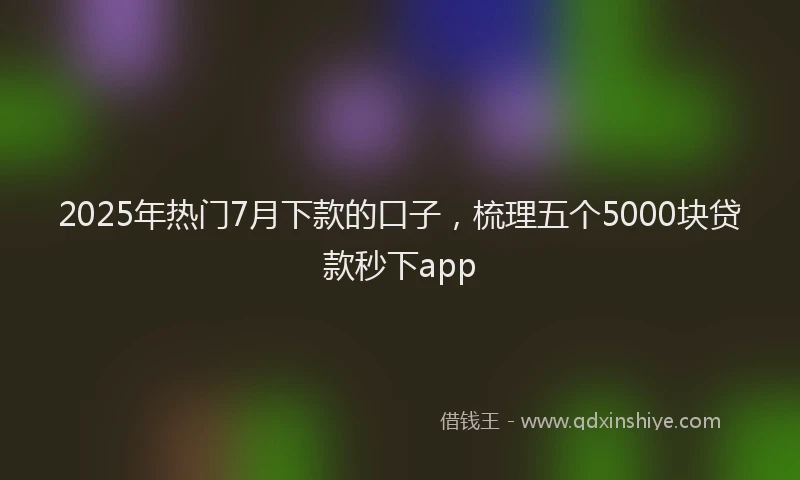 2025年热门7月下款的口子，梳理五个5000块贷款秒下app