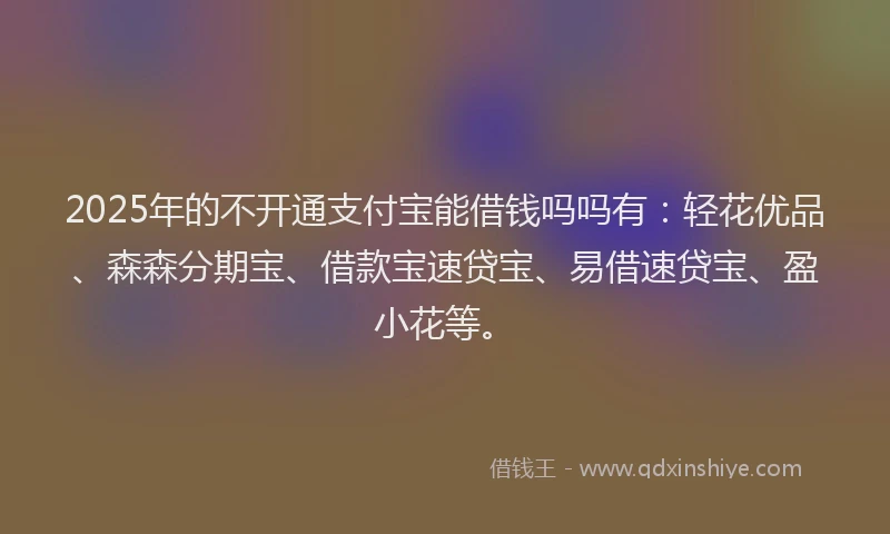 2025年的不开通支付宝能借钱吗吗有：轻花优品、森森分期宝、借款宝速贷宝、易借速贷宝、盈小花等。