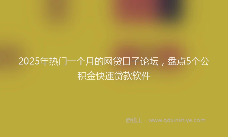 2025年热门一个月的网贷口子论坛，盘点5个公积金快速贷款软件