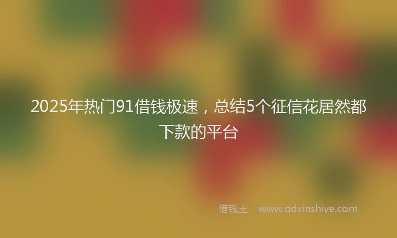 2025年热门91借钱极速，总结5个征信花居然都下款的平台