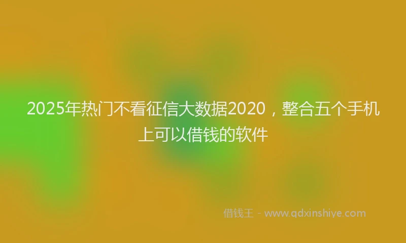 2025年热门不看征信大数据2020，整合五个手机上可以借钱的软件