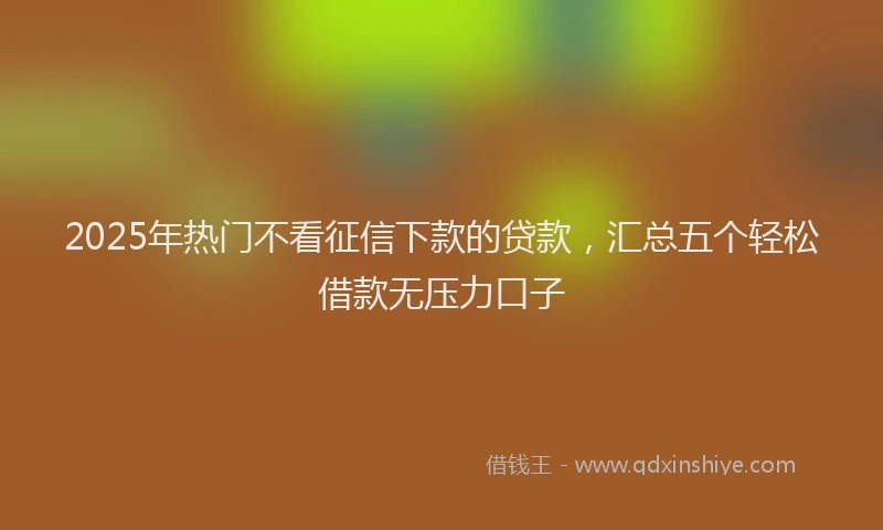 2025年热门不看征信下款的贷款，汇总五个轻松借款无压力口子