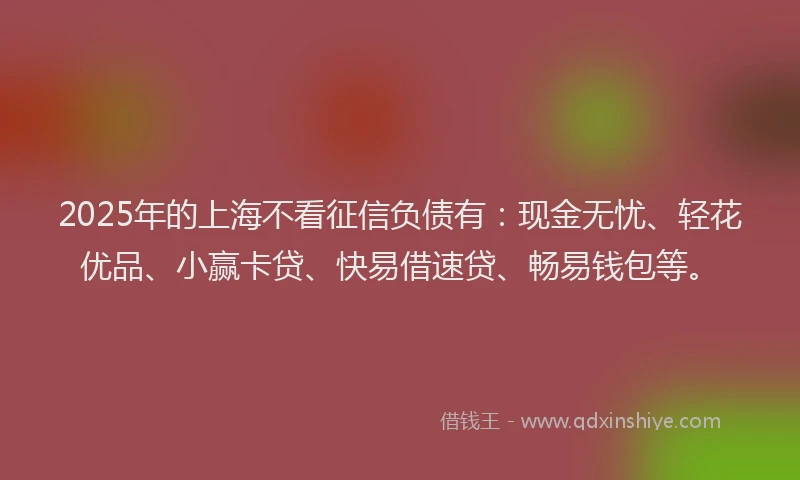 2025年的上海不看征信负债有：现金无忧、轻花优品、小赢卡贷、快易借速贷、畅易钱包等。
