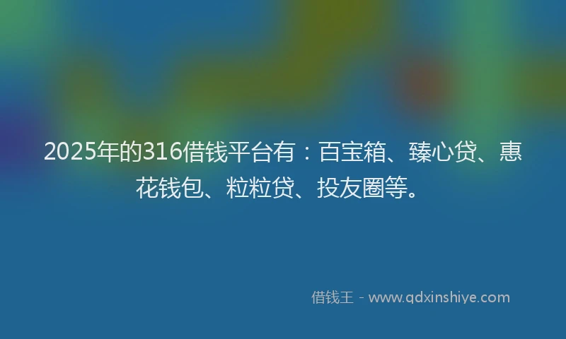 2025年的316借钱平台有：百宝箱、臻心贷、惠花钱包、粒粒贷、投友圈等。