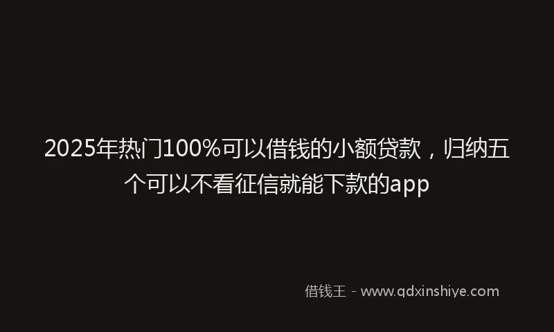 2025年热门100%可以借钱的小额贷款，归纳五个可以不看征信就能下款的app