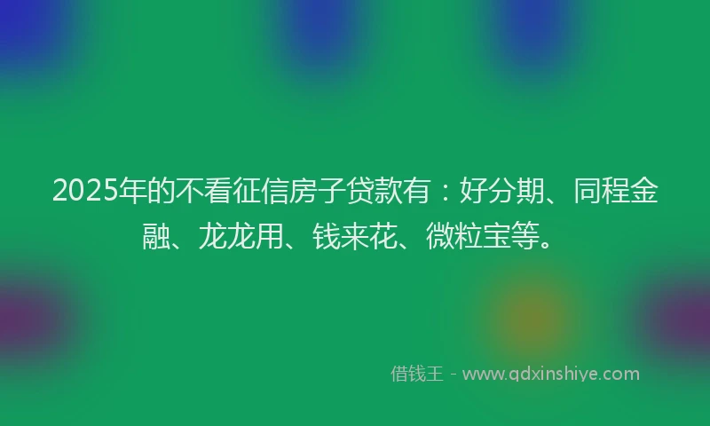 2025年的不看征信房子贷款有：好分期、同程金融、龙龙用、钱来花、微粒宝等。