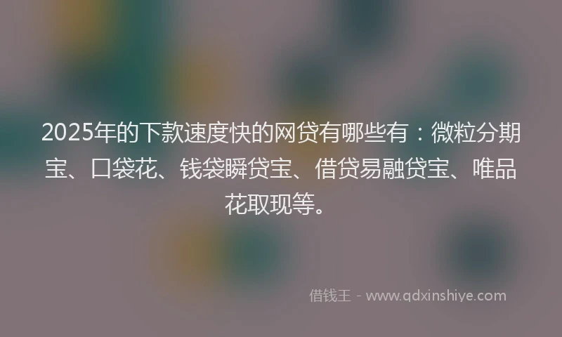 2025年的下款速度快的网贷有哪些有：微粒分期宝、口袋花、钱袋瞬贷宝、借贷易融贷宝、唯品花取现等。