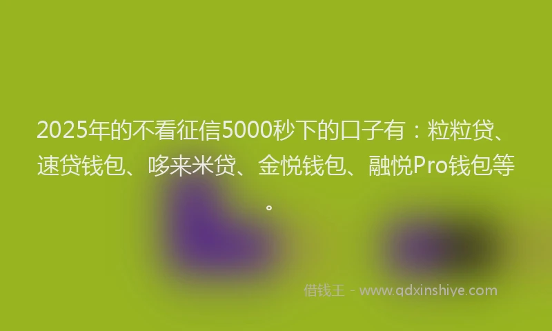 2025年的不看征信5000秒下的口子有：粒粒贷、速贷钱包、哆来米贷、金悦钱包、融悦Pro钱包等。