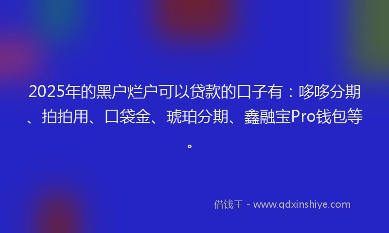 2025年的黑户烂户可以贷款的口子有：哆哆分期、拍拍用、口袋金、琥珀分期、鑫融宝Pro钱包等。