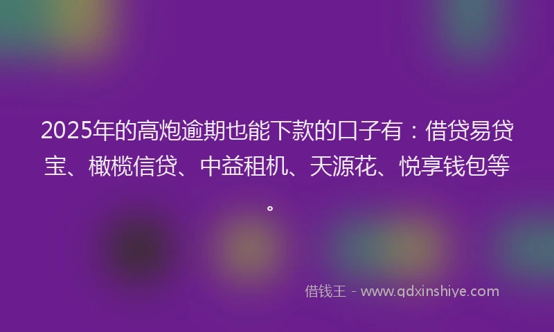 2025年的高炮逾期也能下款的口子有：借贷易贷宝、橄榄信贷、中益租机、天源花、悦享钱包等。