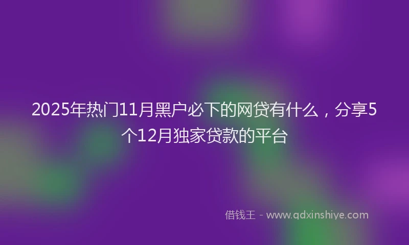 2025年热门11月黑户必下的网贷有什么，分享5个12月独家贷款的平台