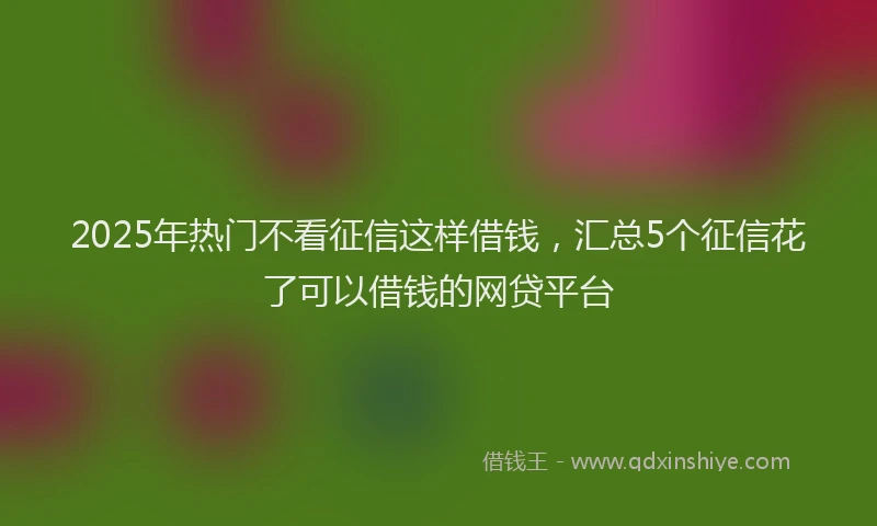 2025年热门不看征信这样借钱，汇总5个征信花了可以借钱的网贷平台