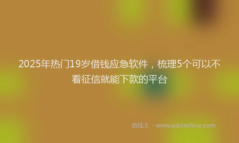 2025年热门19岁借钱应急软件，梳理5个可以不看征信就能下款的平台